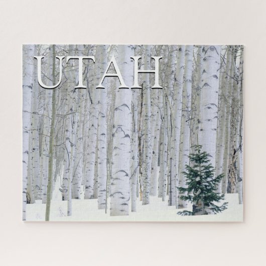 Manti-LaSal National Forest, Utah Puzzle (Horizontal)