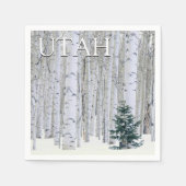 Manti-LaSal National Forest, Utah Serviette (Vorderseite)