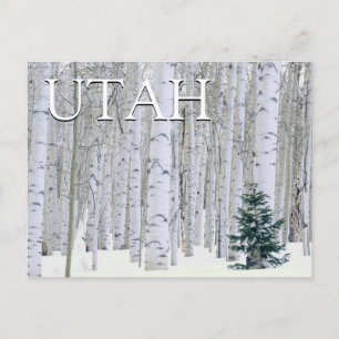 Manti-LaSal National Forest, Utah   Vielen Dank Postkarte