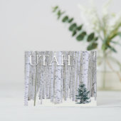 Manti-LaSal National Forest, Utah | Vielen Dank Postkarte (Stehend Vorderseite)