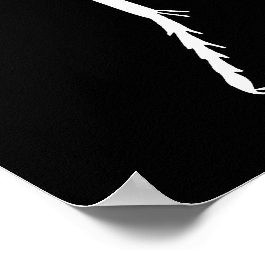 Manticora tuberculata poster (Ecke)