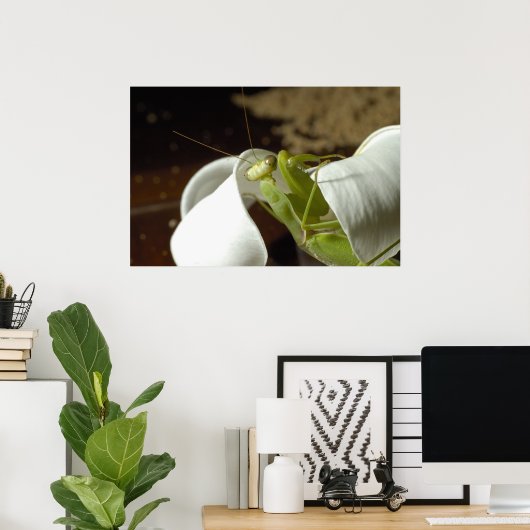 Mantid Poster (Heimbüro)