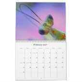 Mantidforum-Mauer-Kalender 2016 Kalender (Feb 2027)