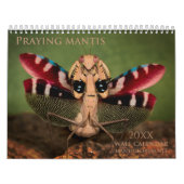 Mantidforum-Mauer-Kalender 2016 Kalender (Titelbild)