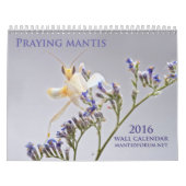 Mantidforum.net 2016 betender Mantis-Wandkalender Kalender (Titelbild)