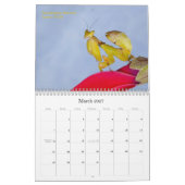 Mantidforum.net-Wandkalender 2015 Kalender (Mär 2027)