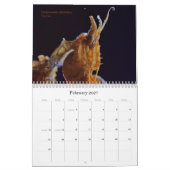 Mantidforum.net-Wandkalender 2015 Kalender (Feb 2027)