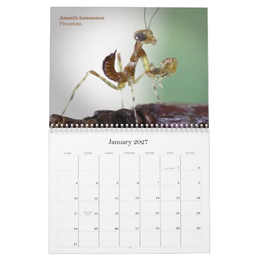 Mantidforum.net-Wandkalender 2015 Kalender (Jan 2027)