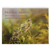 Mantidforum.net-Wandkalender 2015 Kalender (Titelbild)