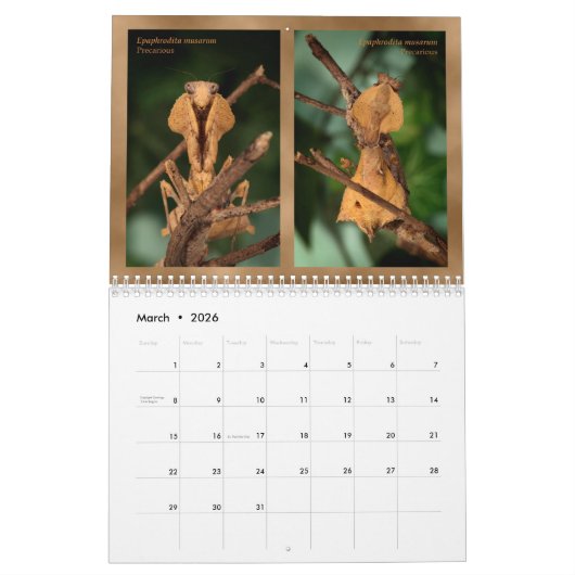 Mantidforum.net-Wandkalender 2018 Kalender (Mär 2026)