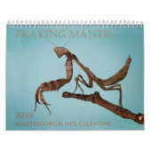 Mantidforum.net-Wandkalender 2018 Kalender (Titelbild)