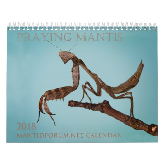 Mantidforum.net-Wandkalender 2018 Kalender (Titelbild)