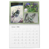 Mantidforum.net-Wandkalender 2018 Kalender (Jan 2026)