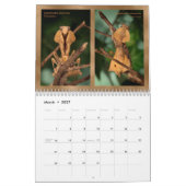 Mantidforum.net-Wandkalender 2018 Kalender (Mär 2027)