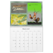 Mantidforum.nethauptmitgliedswandkalender 2015 kalender (Mär 2027)