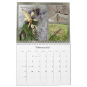 Mantidforum.nethauptmitgliedswandkalender 2015 kalender (Feb 2027)