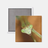 Mantids beten magnet (Vorderseite/Rückseite)