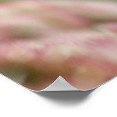 Mantids beten poster (Ecke)