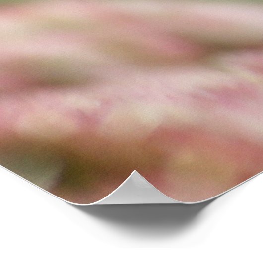 Mantids beten poster (Ecke)