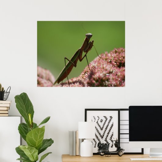 Mantids beten poster (Heimbüro)
