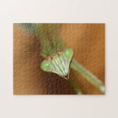 Mantids beten puzzle (Horizontal)