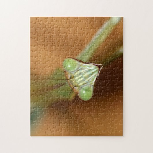 Mantids beten puzzle (Vertikal)