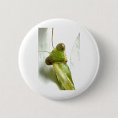 Mantids Button (Vorderseite)
