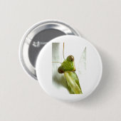Mantids Button (Vorne & Hinten)