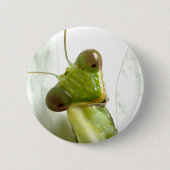 Mantids Button (Vorderseite)