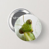 Mantids Button (Vorne & Hinten)