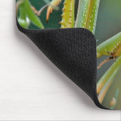 Mantis 475 Mousepad (Ecke)