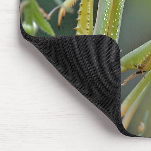 Mantis 475 Mousepad (Ecke)