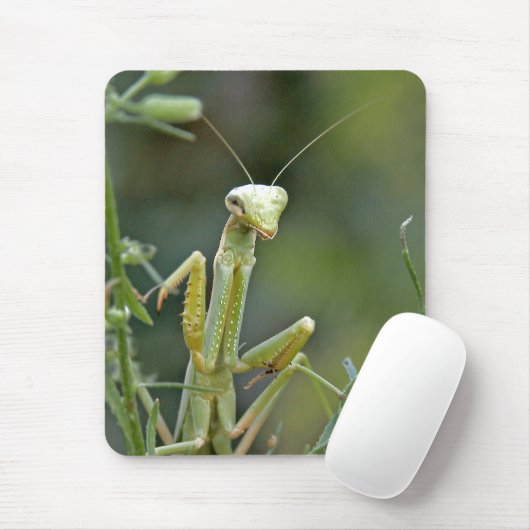 Mantis 475 Mousepad (Mit Mouse)