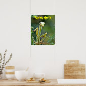 Mantis 475 Poster (Küche)