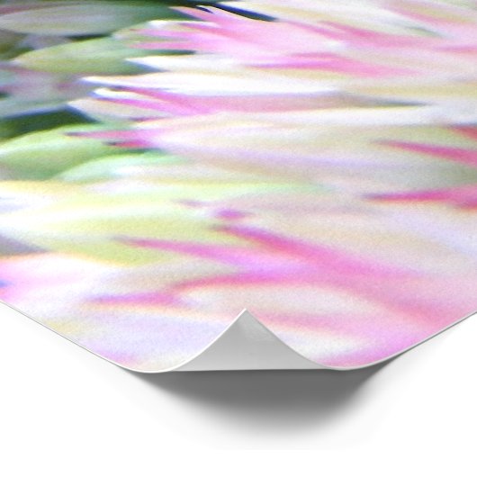 Mantis 79 ~ Druck Poster (Ecke)