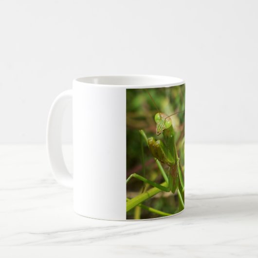 Mantis 8482 kaffeetasse (Vorderseite Links)