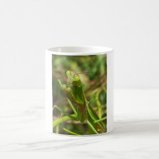 Mantis 8482 kaffeetasse