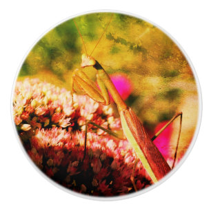 Mantis auf der Blume Sedum Abstrakt Grunge beten Keramikknauf