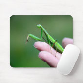 Mantis auf der Hand beten Mousepad (Mit Mouse)