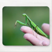 Mantis auf der Hand beten Mousepad (Vorne)