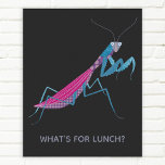 Mantis benutzerdefinierter Text Poster<br><div class="desc">Eine lustige Gottesanbeterin für Insekten- und Käfer-Liebhaber. Einige betende Mansen fressen ihre Freunde. Ach! Fügen Sie Ihren eigenen Text,  um mit einem Namen,  Phrase oder Witz anpassen.</div>