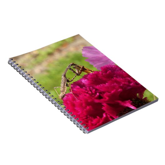 Mantis beten auf einem Mond Notizblock (Rechte Seite)