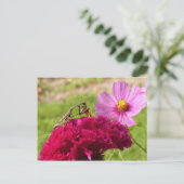 Mantis beten auf einem Mond Postkarte (Stehend Vorderseite)