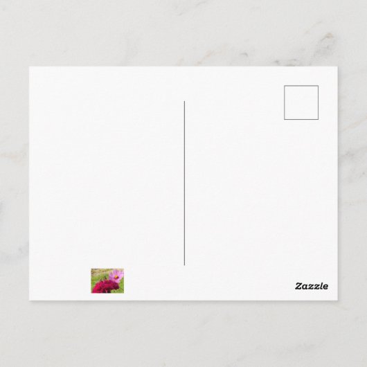 Mantis beten auf einem Mond Postkarte (Rückseite)