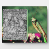 Mantis beten Ihr eigenes Foto Fotoplatte (Vorderseite)