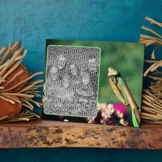 Mantis beten Ihr eigenes Foto Fotoplatte (Seite)