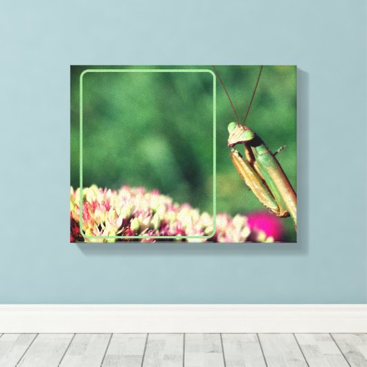 Mantis beten Ihr eigenes Foto Leinwanddruck (Insitu (Holzboden))