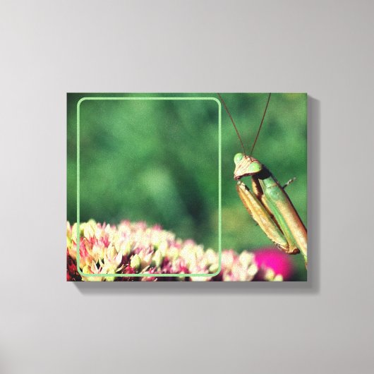 Mantis beten Ihr eigenes Foto Leinwanddruck (Vorderseite)