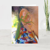 Mantis beten - immer noch, langsamer - Karte (Vorderseite)