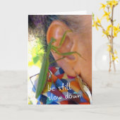 Mantis beten - immer noch, langsamer - Karte (Gelbe Blume)